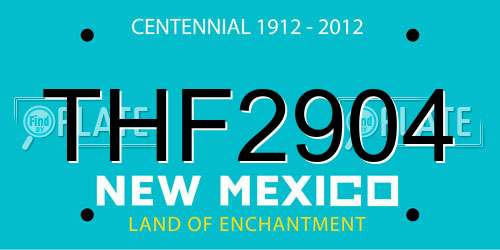 THF2904 New Mexico License Plate