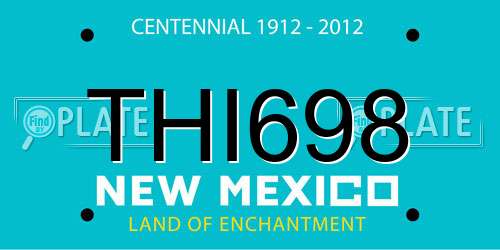 THI698 New Mexico License Plate