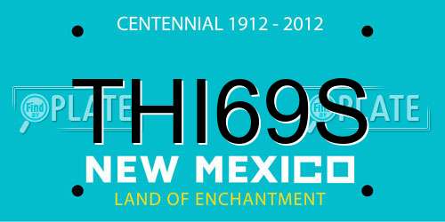 THI69S New Mexico License Plate