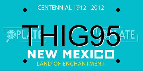 THIG95 New Mexico License Plate