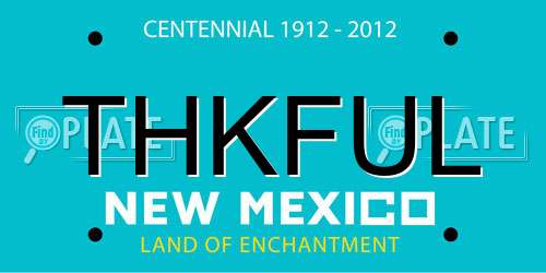 THKFUL New Mexico License Plate