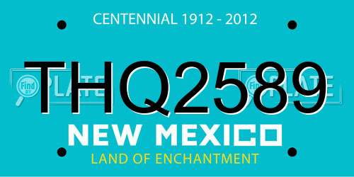 THQ2589 New Mexico License Plate