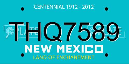THQ7589 New Mexico License Plate