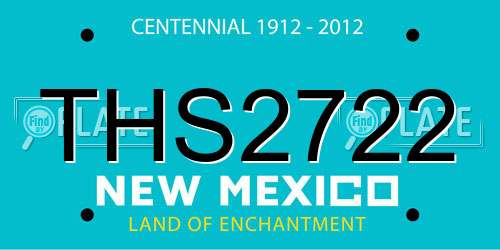 THS2722 New Mexico License Plate