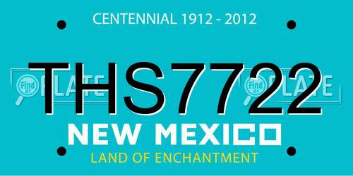 THS7722 New Mexico License Plate