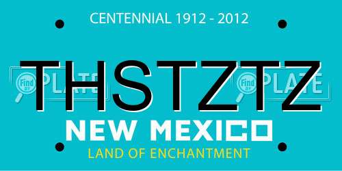 THSTZTZ New Mexico License Plate