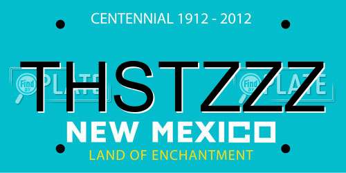 THSTZZZ New Mexico License Plate