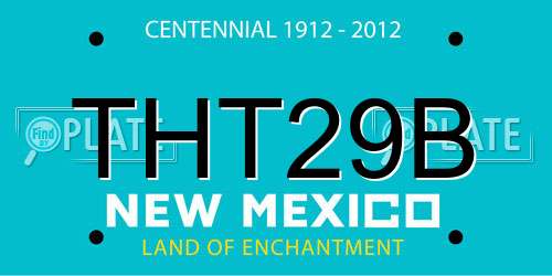 THT29B New Mexico License Plate