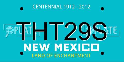 THT29S New Mexico License Plate