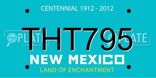 THT795 New Mexico License Plate