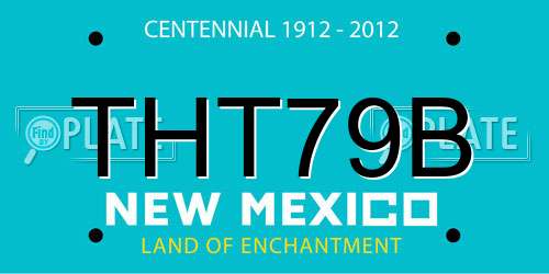 THT79B New Mexico License Plate