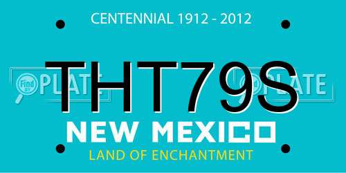 THT79S New Mexico License Plate
