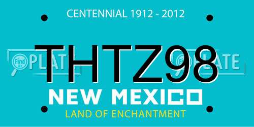THTZ98 New Mexico License Plate