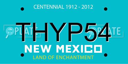 THYP54 New Mexico License Plate