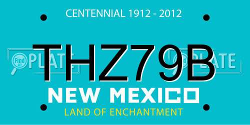 THZ79B New Mexico License Plate