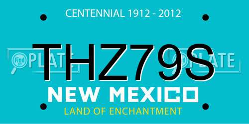 THZ79S New Mexico License Plate