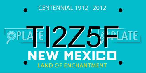 TI2Z5F New Mexico License Plate