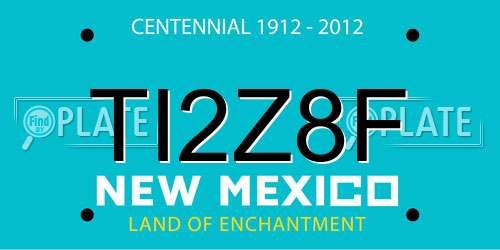 TI2Z8F New Mexico License Plate