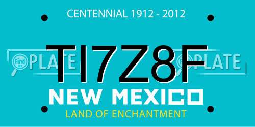 TI7Z8F New Mexico License Plate