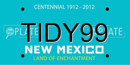 TIDY99 New Mexico License Plate