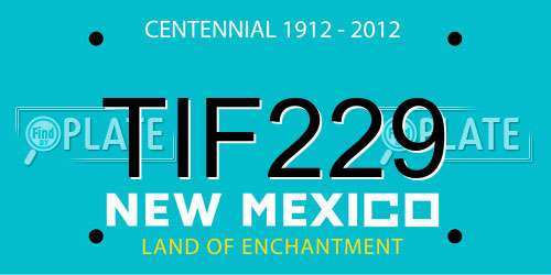 TIF229 New Mexico License Plate
