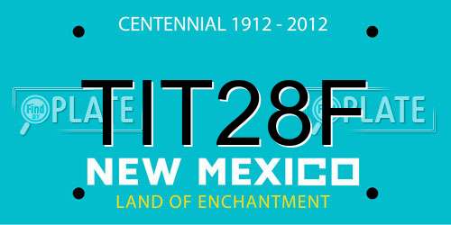 TIT28F New Mexico License Plate