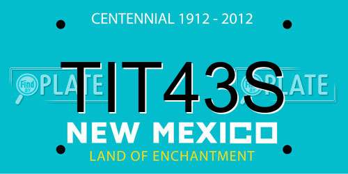 TIT43S New Mexico License Plate