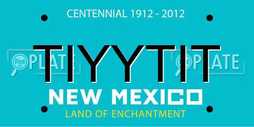 TIYYTIT New Mexico License Plate