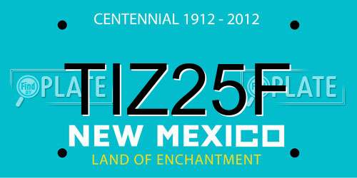 TIZ25F New Mexico License Plate