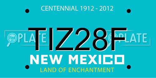 TIZ28F New Mexico License Plate