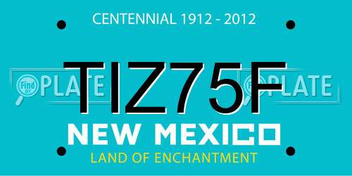 TIZ75F New Mexico License Plate