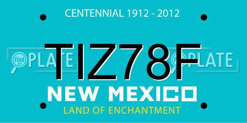 TIZ78F New Mexico License Plate
