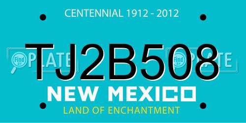 TJ2B508 New Mexico License Plate