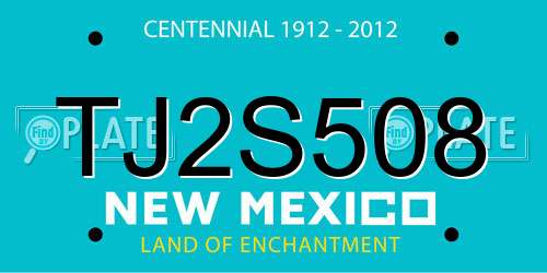 TJ2S508 New Mexico License Plate