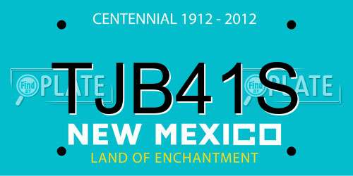 TJB41S New Mexico License Plate