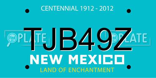 TJB49Z New Mexico License Plate