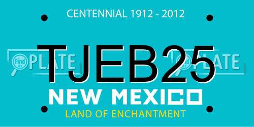 TJEB25 New Mexico License Plate