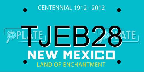 TJEB28 New Mexico License Plate
