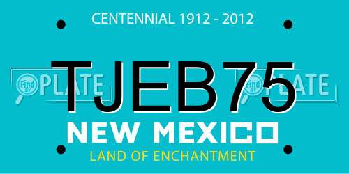 TJEB75 New Mexico License Plate