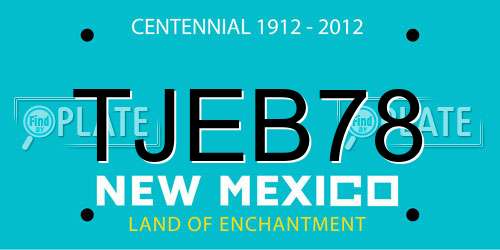 TJEB78 New Mexico License Plate