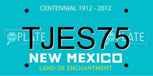 TJES75 New Mexico License Plate