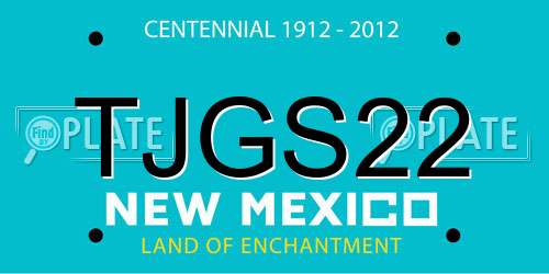 TJGS22 New Mexico License Plate