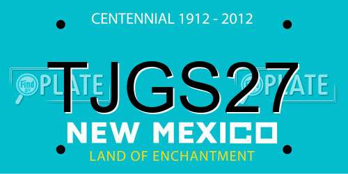 TJGS27 New Mexico License Plate