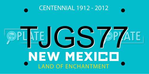 TJGS77 New Mexico License Plate