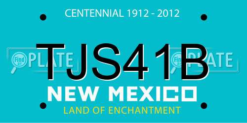 TJS41B New Mexico License Plate