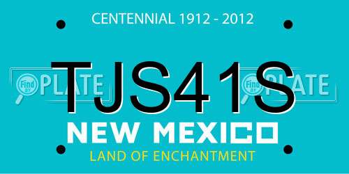 TJS41S New Mexico License Plate