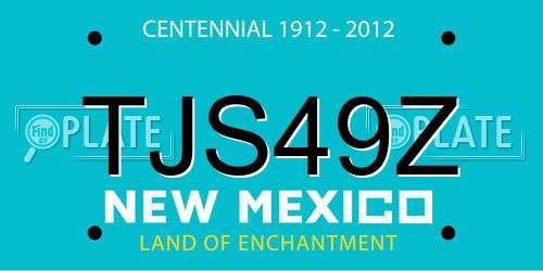 TJS49Z New Mexico License Plate