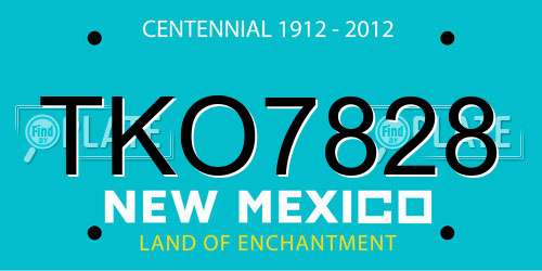 TKO7828 New Mexico License Plate