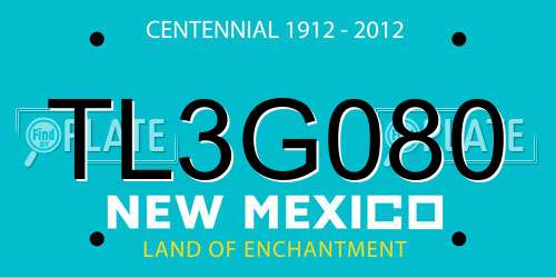 TL3G080 New Mexico License Plate