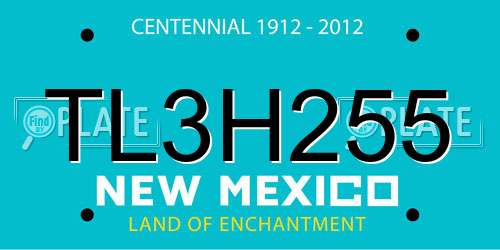TL3H255 New Mexico License Plate